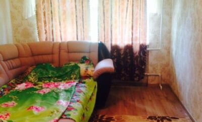 Однокомнатная квартира на 4 человека, 31кв.м, ул.Центральна